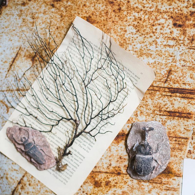 家柏饰(CORATED)海的 珊瑚树 海铁树 装饰摆件花艺搭配鱼缸造景 海树珊瑚A款高清大图