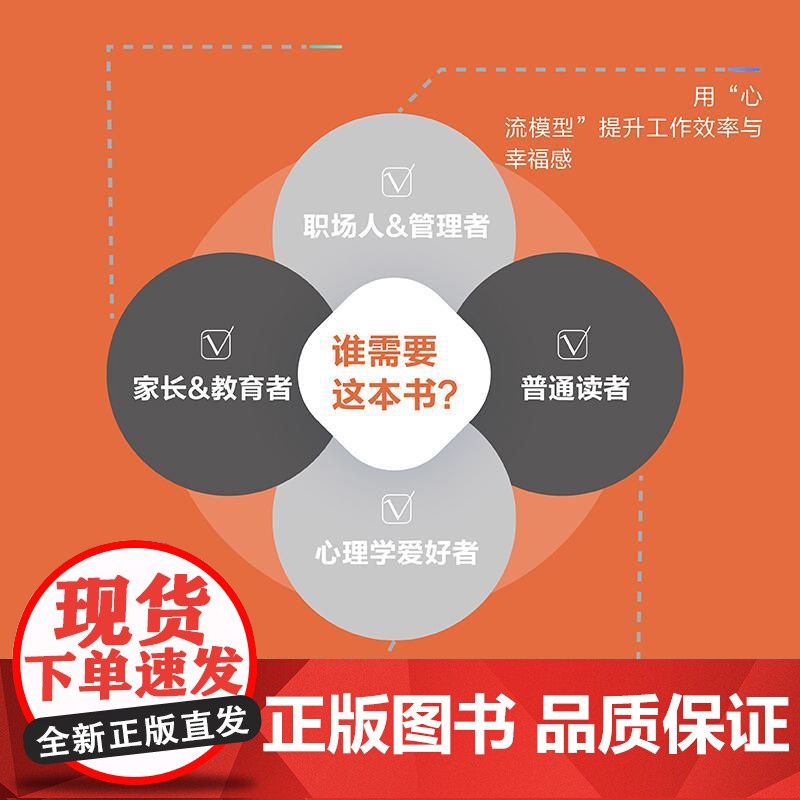 积极心力 许宗诺 积极心理学书籍心流成长型思维心智模型心理咨询高清大图