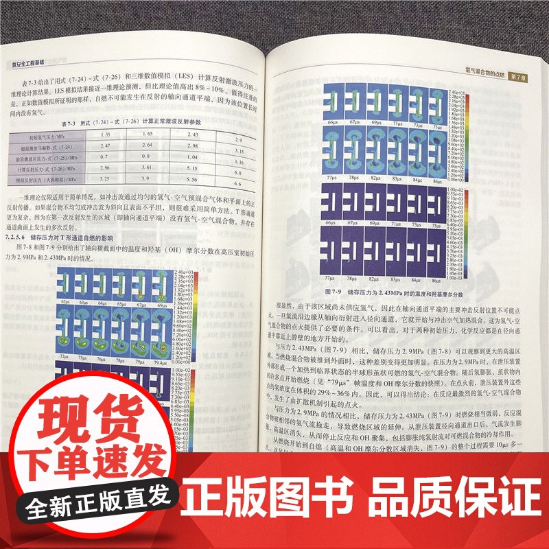套装 氢能技术及应用图书套装 共2册 氢能 氢安全 燃料电池 工程验证 氢能利用 氢安全问题 机械工业出版社高清大图