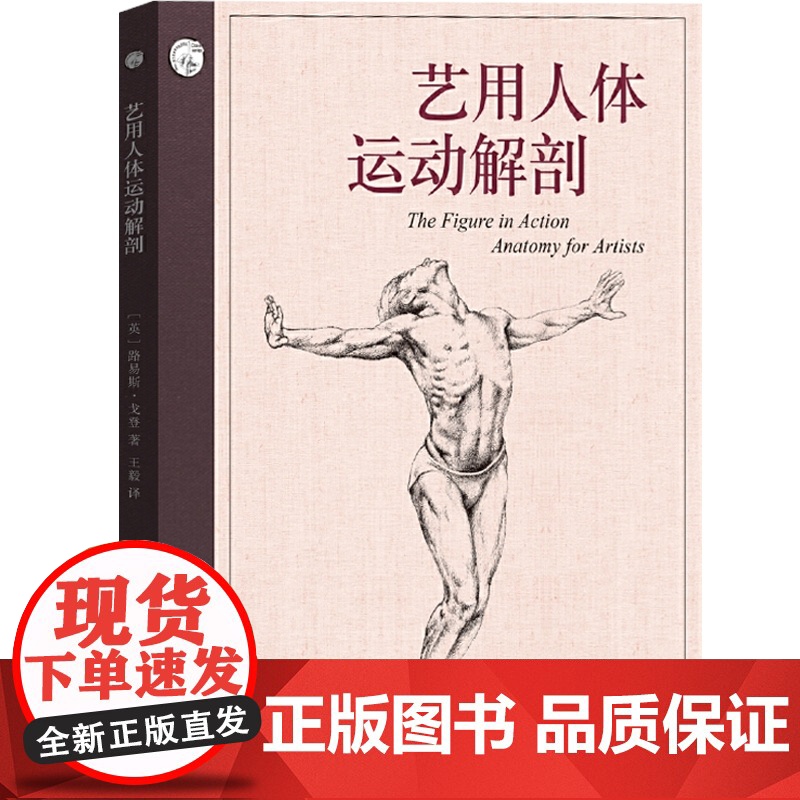 艺用人体运动解剖 西方经典美术技法译丛 路易丝戈登 人体素描 素描 绘画 图解解剖学 上海人民美术出版社高清大图