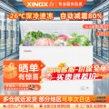 星星(XINGX) BD/BC-305E 商用冰柜 厨房商用保鲜设备
