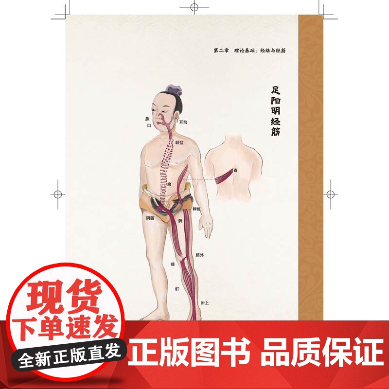 何氏通络开结术 脚法通络 手法开结 以肌治骨 以筋治脏 北京科学技术高清大图