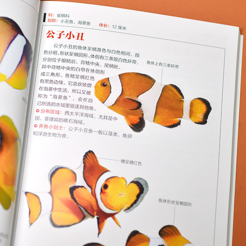 [醉染正版]观赏鱼图鉴自然科学读物 海洋生物养殖鱼类科普百科全书图鉴书籍高清大图