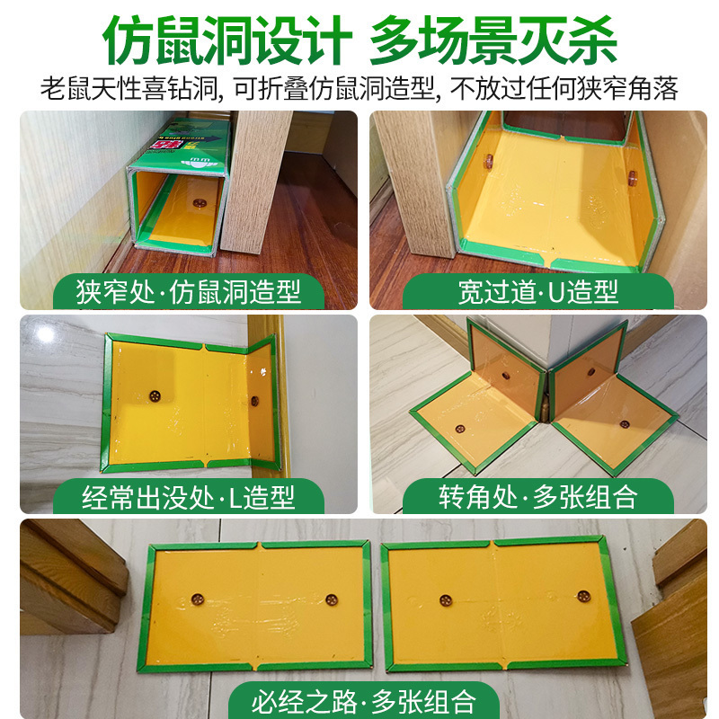 粘鼠板5张装