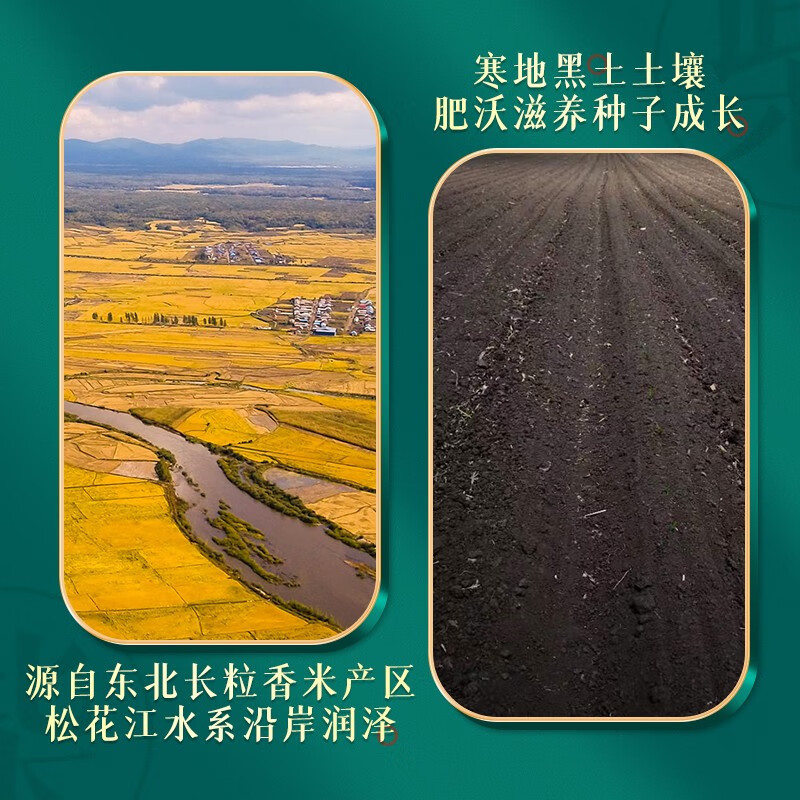 柴火大院 长粒香米5kg [2024年新米]东北大米10斤5公斤 年货节团购高清大图