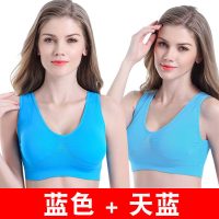 波迷娜(BOMINA)妈妈内衣文胸中老年大妈式胸罩中老年人文胸妈妈运动内衣女无钢圈薄款码式胸罩比纯锦纶聚拢