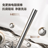 2200W家用一级能效高效速热储水式中温节能电热水器防漏电防电墙TR 3250 40 C2-80升