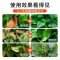 [补贴10%]免稀释营养液植物通用型肥料室内盆栽发财树绿萝养花喷洒发黄烂根