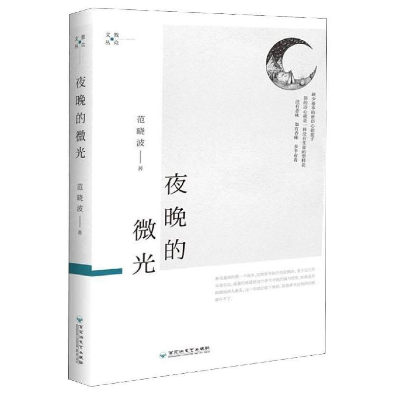 醉染图书夜晚的微光9787550022553高清大图