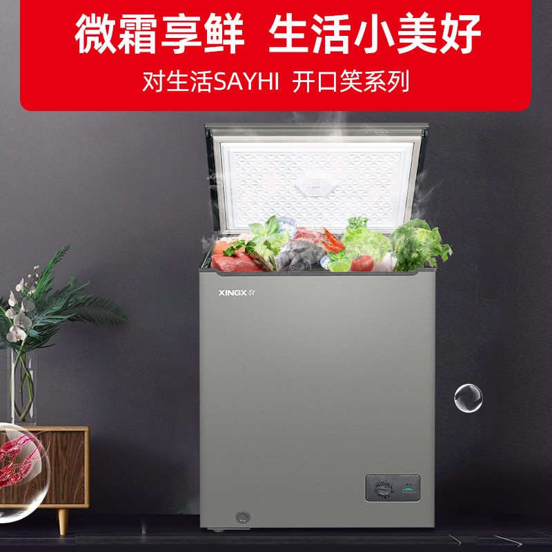 星星(XINGX)BD/BC-145KV商用家用小型两用柜单温冷藏冷冻转换一级能效高效减霜80%