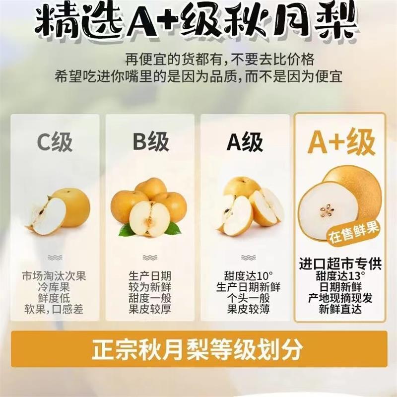 正宗秋月梨梨子5/10斤薄皮新鲜超甜孕妇水果礼盒装