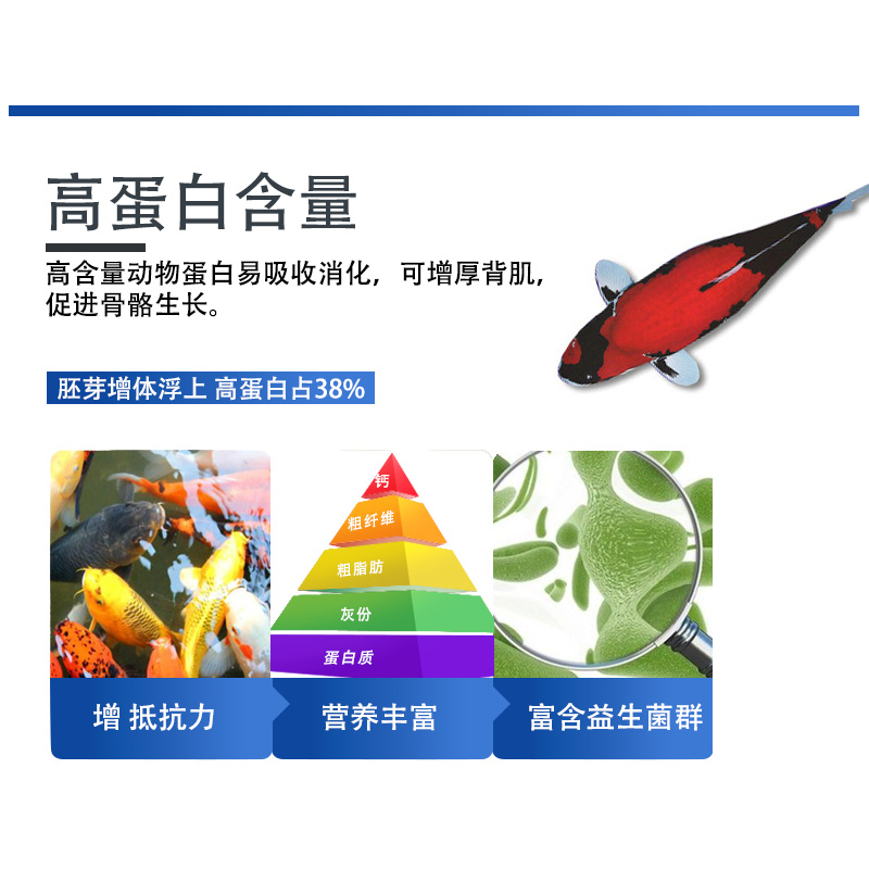 锦鲤鱼饲料胚芽增体鱼食助系列1kg5kg10浮温上热带鱼饲料高清大图