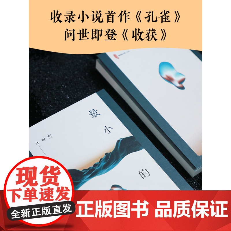 最小的海 余华作序 莫言苏童 我在岛屿读书 90后作家叶昕昀小说集 有yan火气有洞察力的文学新声音 八个关于爱欲与宽恕高清大图