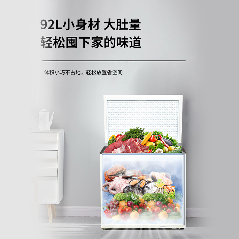 白雪冷柜BD/C92DS家用小冰柜2023象牙白冷冻冷藏转换冷冻箱