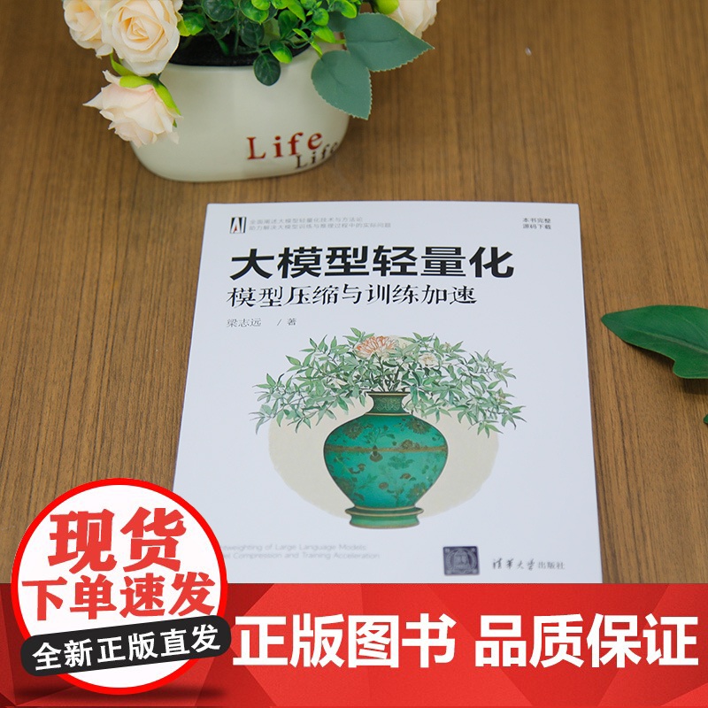 [正版新书]大模型轻量化:模型压缩与训练加速 梁志远 清华大学出版社 计算机高清大图