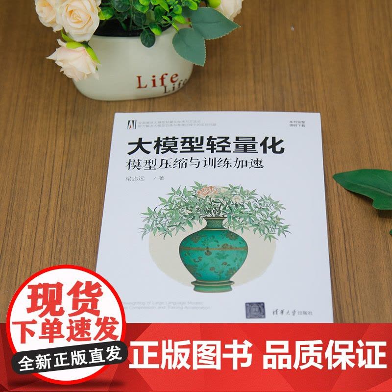 [正版新书]大模型轻量化:模型压缩与训练加速 梁志远 清华大学出版社 计算机图片