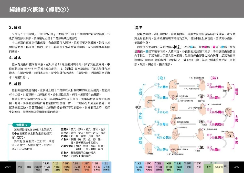 [正版] 原版进口图书 经穴大全 坂元大海 原岛广至 枫书坊出版 养生保健恒学高清大图