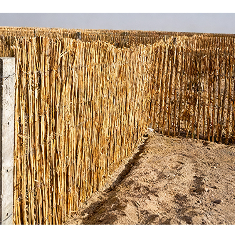 璐盐 防沙芦苇束帘 LY-C2 平方米高清大图