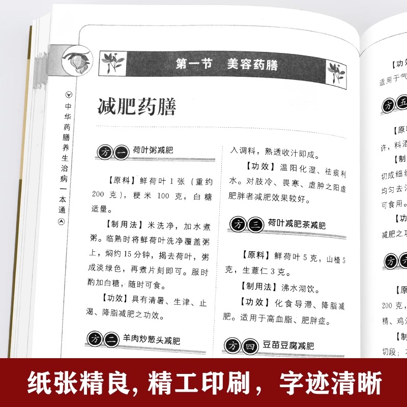 [醉染正版]中华药膳+百病食疗大全养生汤膳养生治病一本通大全正版彩图解中医养生大全食谱调理四季家庭营养健康保健饮食养生菜高清大图
