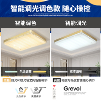 Grevol品拓2020年新款灯具客厅简约现代长方形创意个性卧室大气水晶led吸顶灯