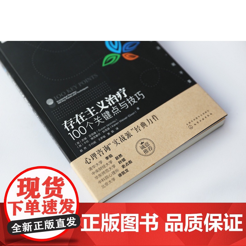 心理咨询与治疗100个关键点译丛 存在主义治疗100个关键点与技巧 心理治疗技巧 心理咨询实战派经典力作 心理咨询师的案高清大图