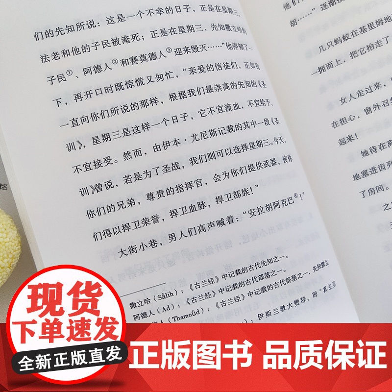 坚韧之石(一曲关于阿富汗女性的悲歌,《追风筝的人》作者胡赛尼作序,诺奖提名作家拉希米力作)高清大图