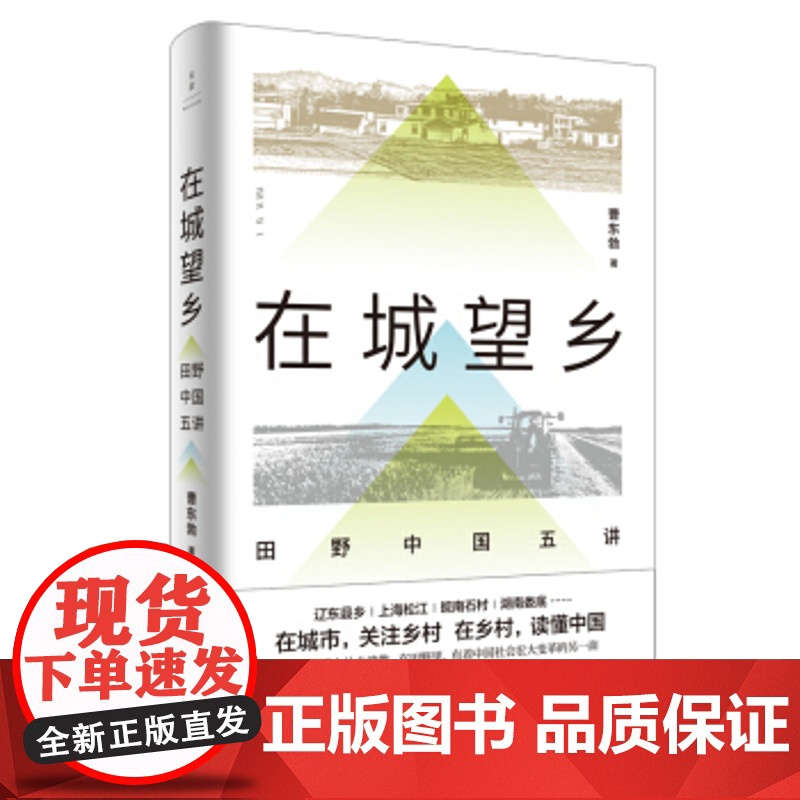 大国大城/在城望乡/大国治理 陆铭曹东勃当代中国政治经济发展上海人民出版社城市奋斗城乡经济发展留守儿童教育公共福利高清大图