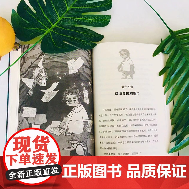 雨林之国 走进小主人公温暖勇敢的内心世界 儿童文学经典故事书6-9-12岁课外读物高清大图
