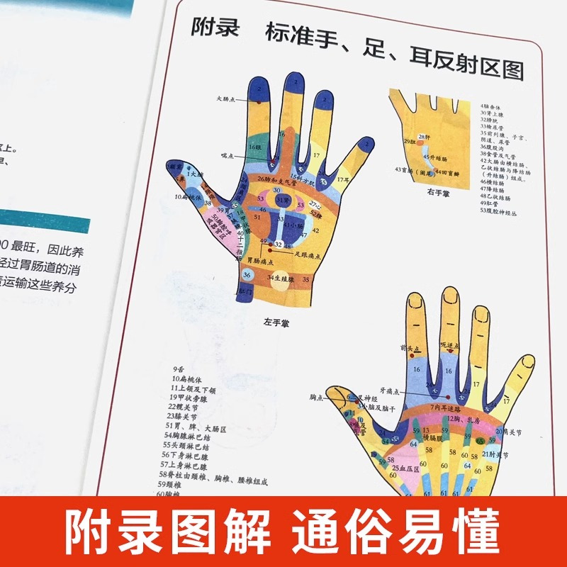 [正版]抖音同款10分钟手足耳对症按摩经络穴位按摩家用养生图解手法中医养生推拿按摩书籍手法穴位图人体经络穴位图解书中医养
