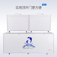 澳柯玛(AUCMA)737升家用商用大容量冰柜 卧式大冰箱 冷藏冷冻转换单温顶开冷柜BC/BD-737TC