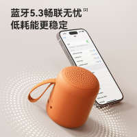 SANAG塞那 无线蓝牙音箱迷你便携重低音炮X6SⅡ笔记本桌面户外旅游音响 茱萸粉