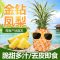星派果海南金钻凤梨大果带箱5/9斤装新鲜当季水果香水菠萝特产