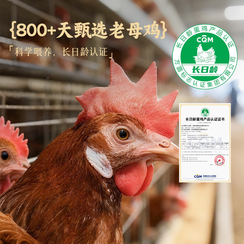 金翼 烟熏烤鸡2只礼盒装 匠心甄选 800+天 老母鸡 肉质更紧实整只鸡高清大图