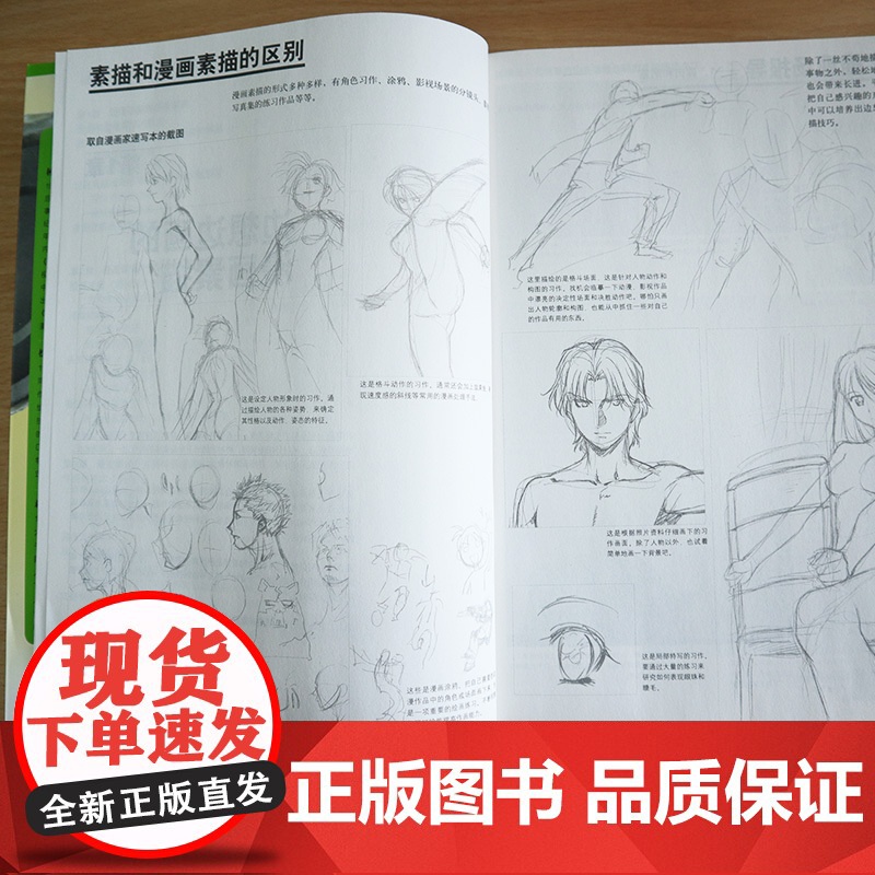 超级漫画素描技法 基础篇 升级版 漫画教程书 漫画人物绘画 零基础入门Q版古风漫画美少女人物漫画素描技法画画初学者自学教高清大图