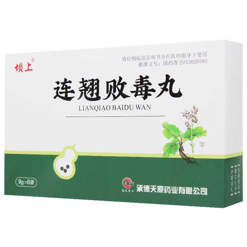 坝上 连翘败毒丸 9g*6袋/盒高清大图
