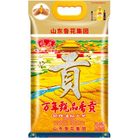 福花万年甄品香大米5KG 南方大米家庭长粒香米10斤