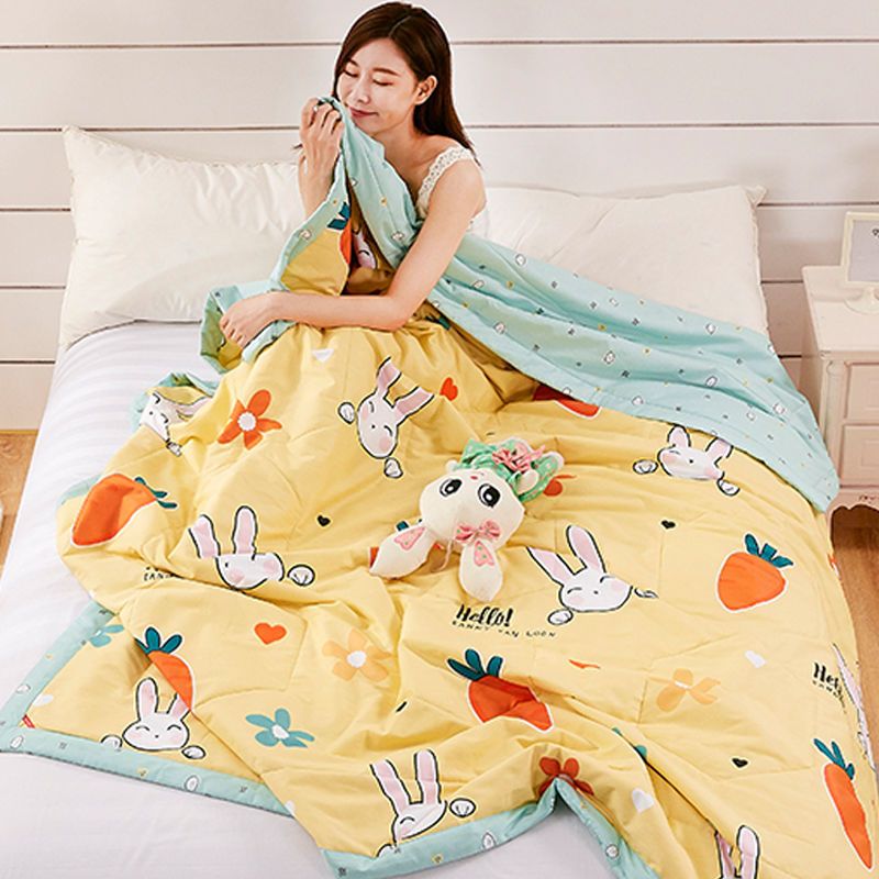 新款空调被夏凉被单人双人夏被大人学生宿舍轻薄被子可水洗机洗_30高清大图