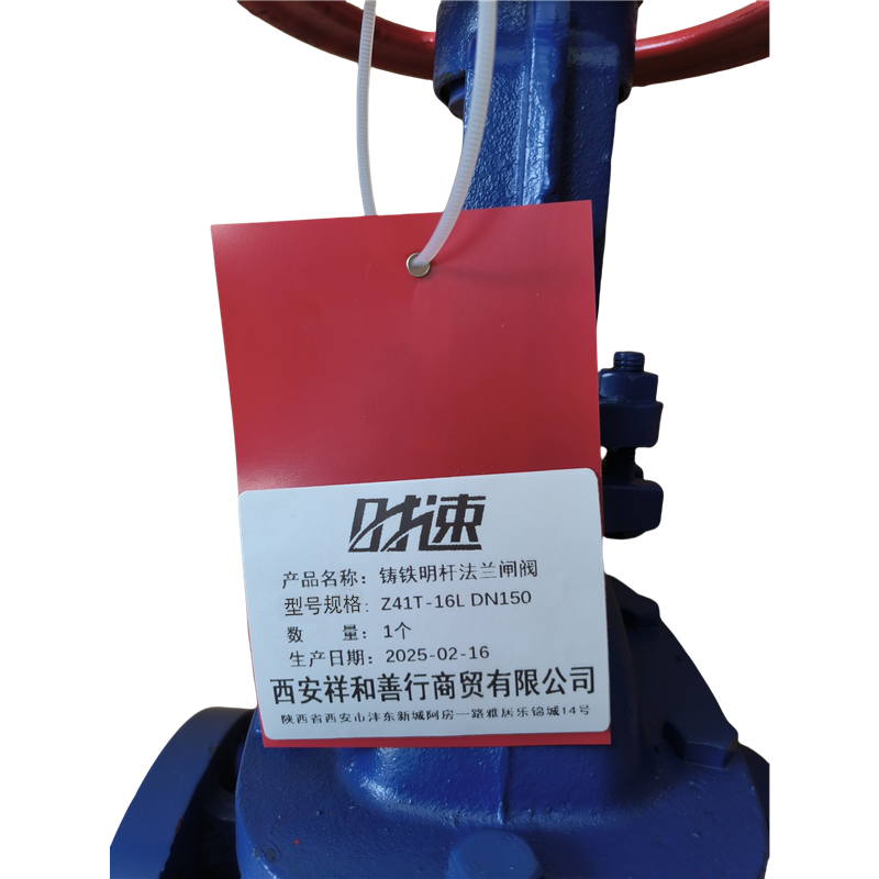 时速 铸铁明杆法兰闸阀 Z41T-16L DN150 个高清大图