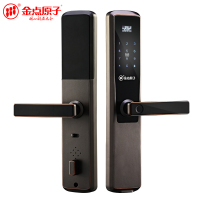 金点原子(GOLDATOM)指纹锁防盗门磁卡家用智能电子密码锁 远程APP JD6115 太空灰