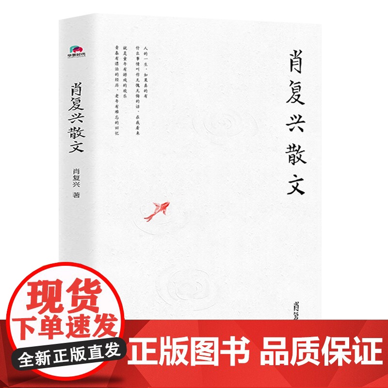 肖复兴散文 肖复兴著 收录花边饺和拥你入睡中小学语文阅读篇目 手绘插图 现当代文学散文精选集名家作品 978755963高清大图