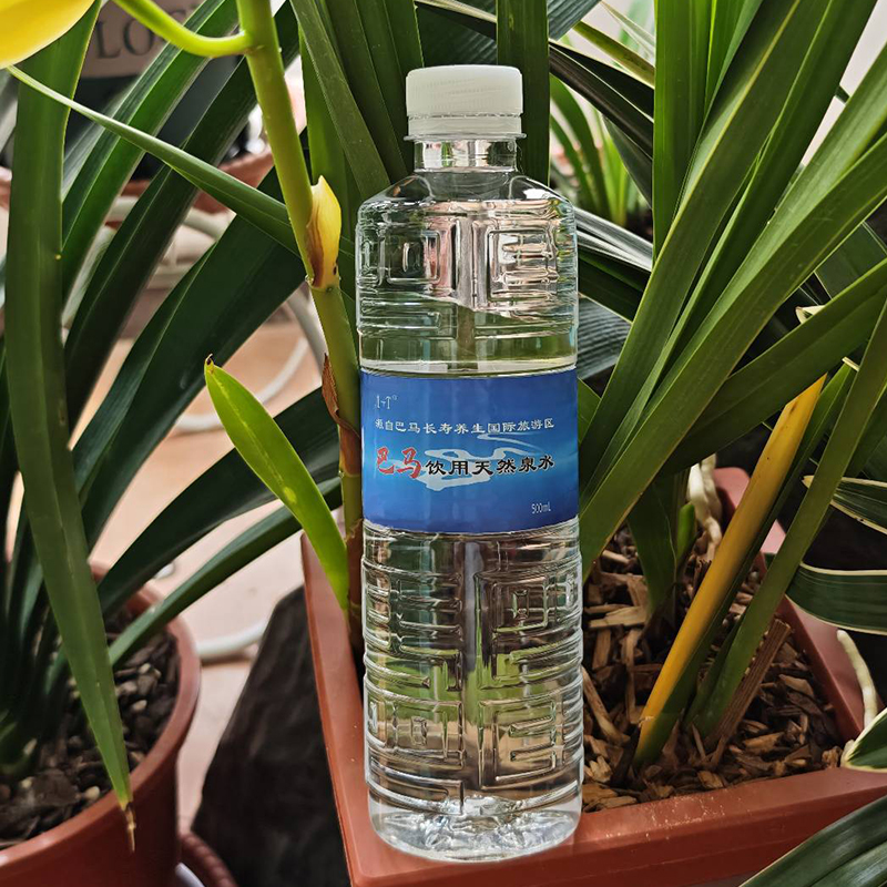 1+T 巴马饮用天然泉水 500ml*24瓶/箱高清大图