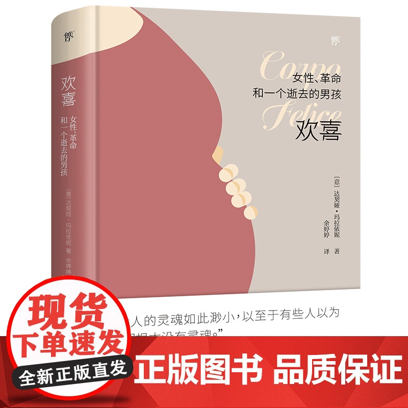 欢喜 女性革命和一个逝去的男孩 达契娅玛拉依妮诺贝尔文学奖热门提名作家 女性主义作品