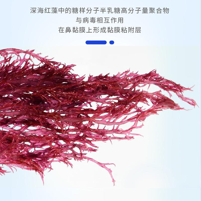 华复生物科威藻灵®深海红藻卡拉胶孕妇幼儿老人日常防护鼻喷剂20mL/瓶 400喷