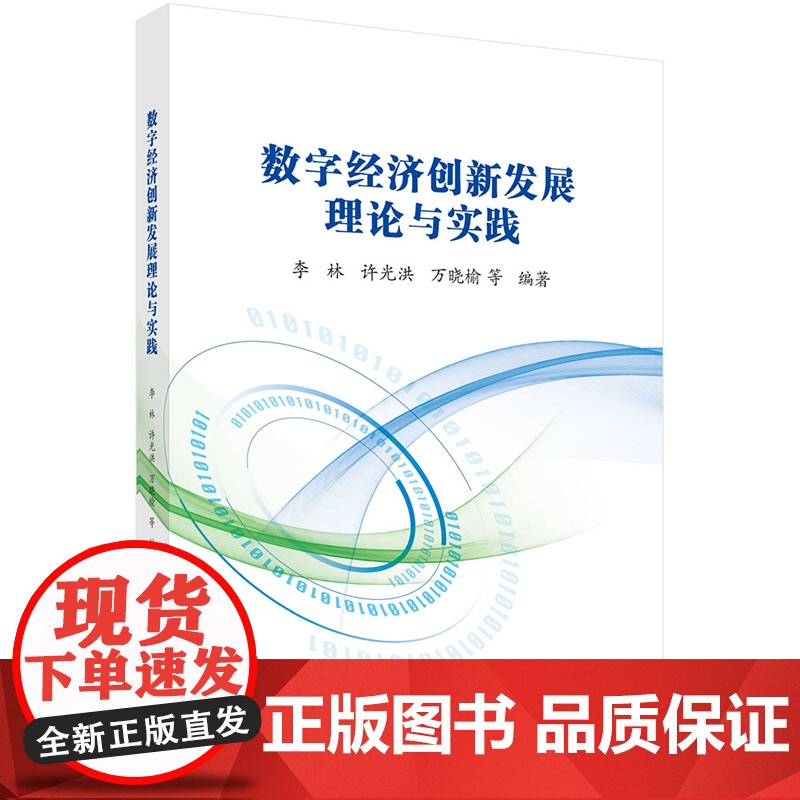 ]数字经济创新发展理论与实践 李林 许光洪 万晓榆等 科学出版社9787030813374高清大图
