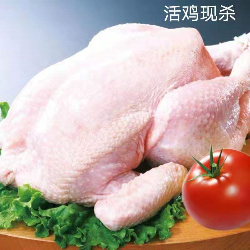 [江苏扶贫][财政集采][响水]溢香源 活鸡现杀2只装/箱 (50份起拍,单拍不发货)