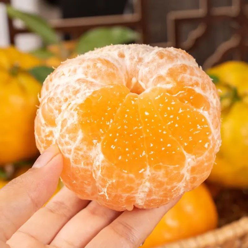 湖北土特产特级装大果精品椪柑薄皮多汁农家新鲜水果现摘现发正宗椪柑