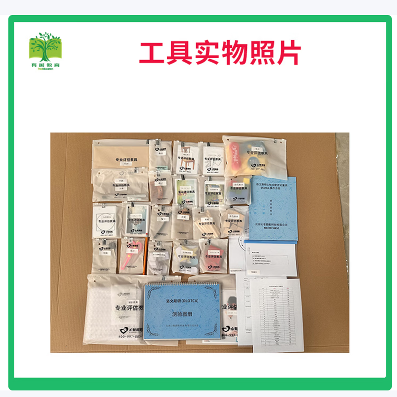 有树 YSXL-LOTCA01 DLOTCA洛文斯顿认知功能评定工具箱专业早教教具高清大图