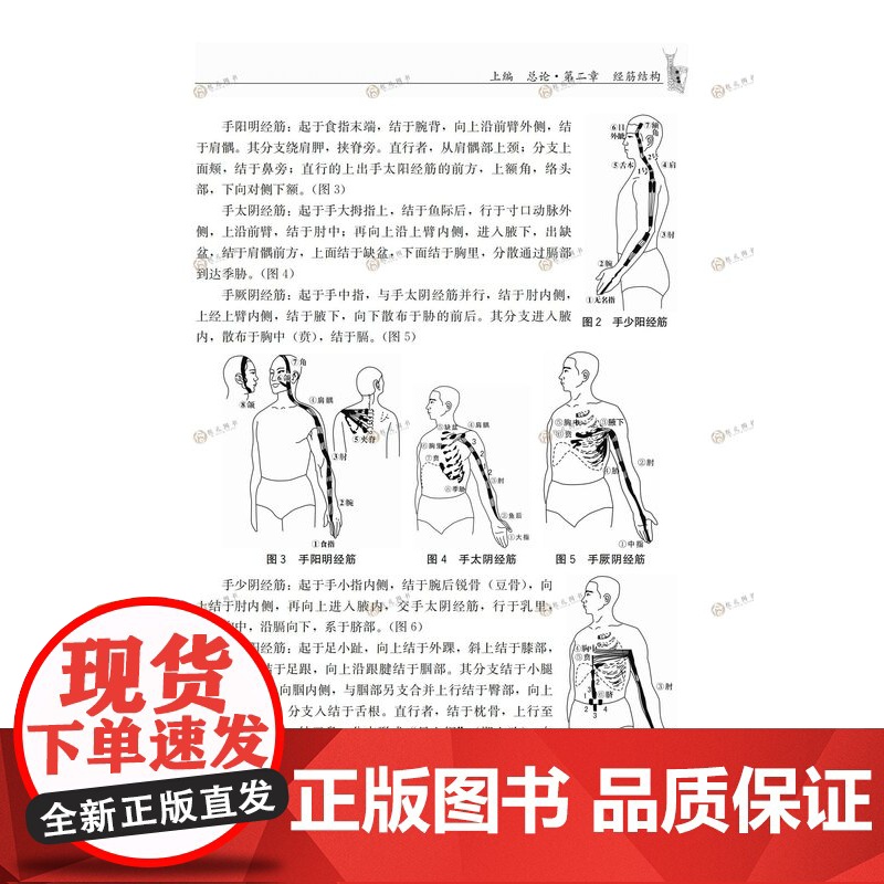 实用壮医筋病学 韦英才编著黄帝内经燔针劫刺技术 常见人体多部位筋伤治疗 中国壮医经络学说理论 临床治疗筋病实践总结参考书高清大图