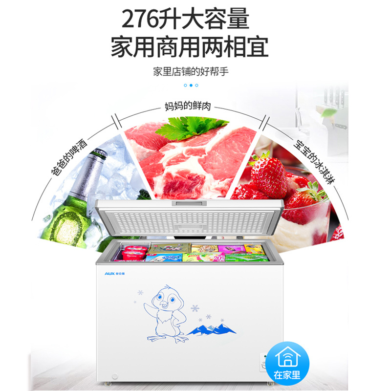 AUX/奥克斯 大容量冰柜家商用冷藏保鲜冷冻两用小型冷柜 288L-双推门单温