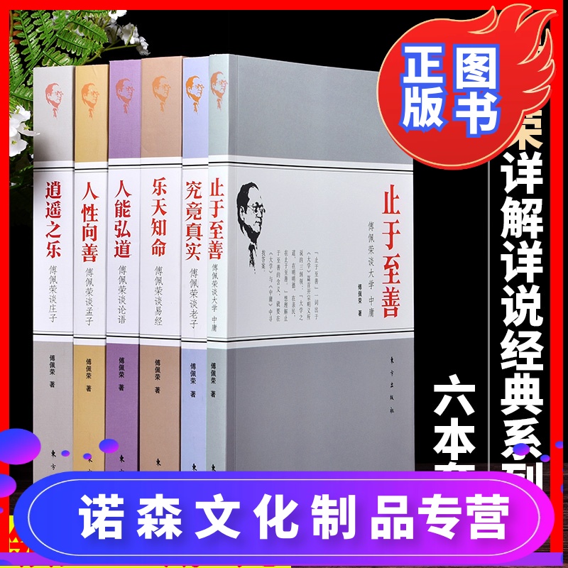 诺森正版正版全6册傅佩荣详说经典系列谈大学中庸至于至善究竟真实谈